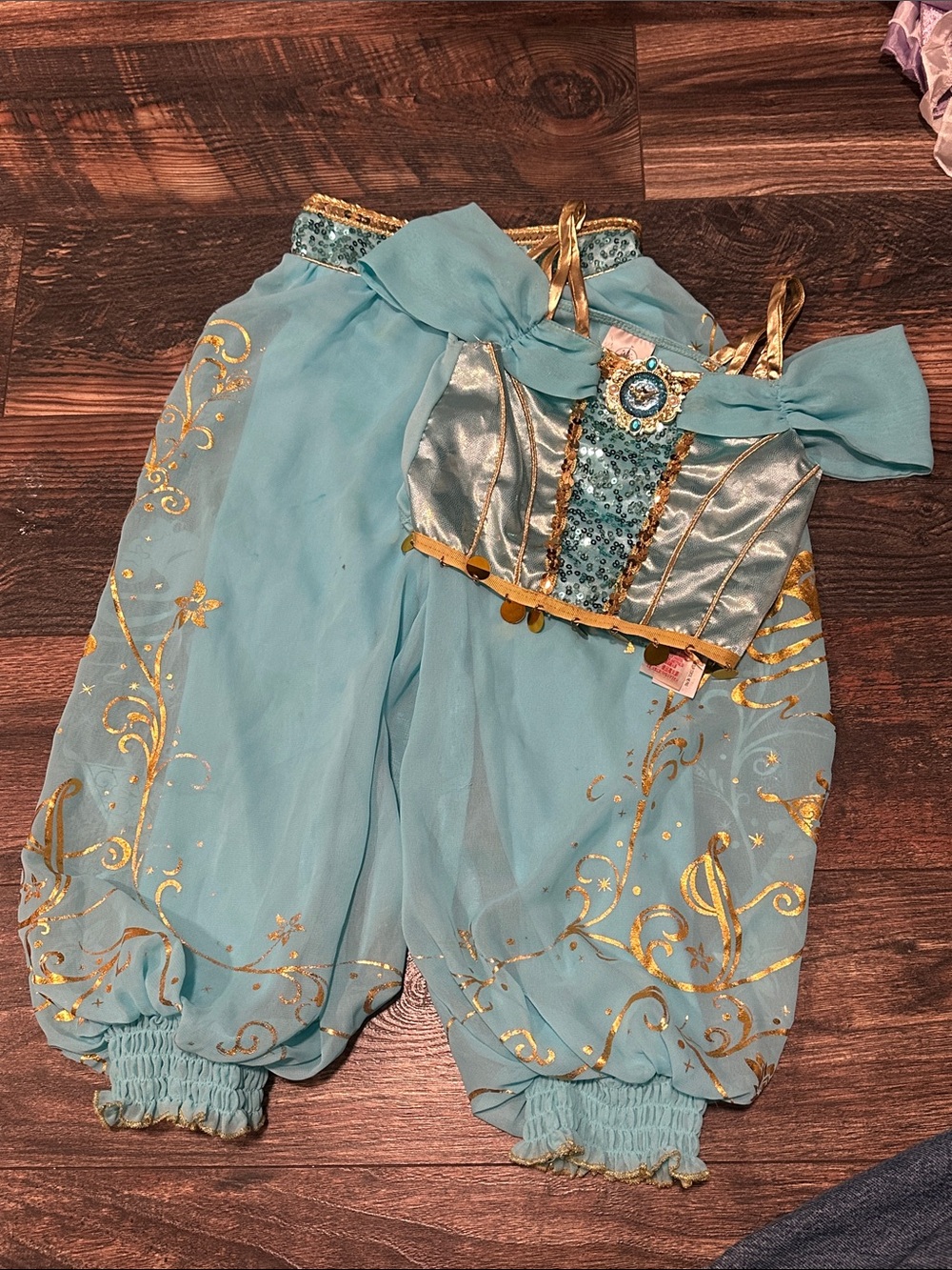 Disney Light Blue and Gold Jasmine-Inspired Kids Costume